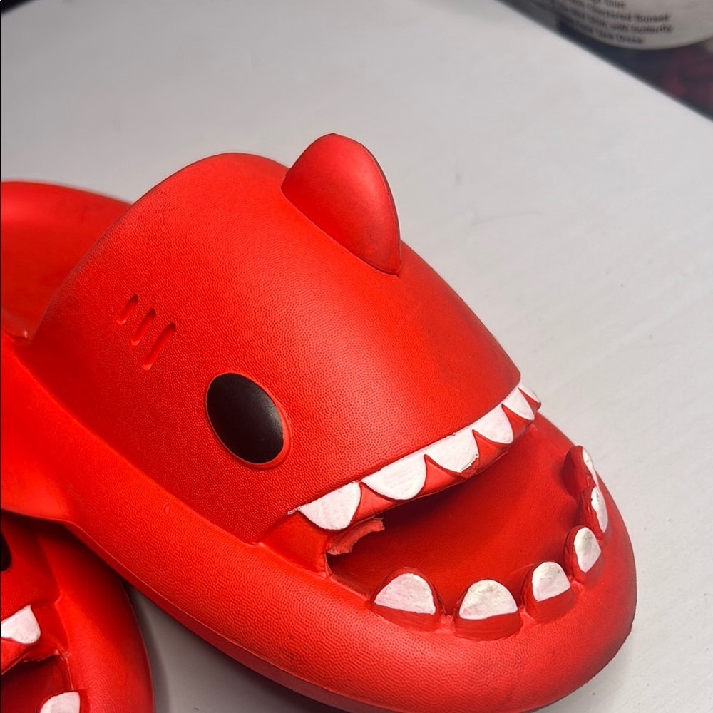 Shark Slides - Picture 5 of 5